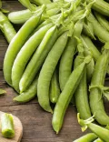 Sugar Snap Peas — Photo 2