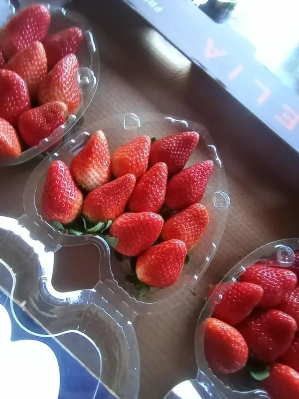 Strawberries — Photo 1