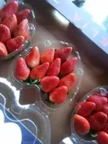 Strawberries — Photo 1