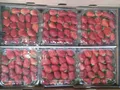 Strawberries — Photo 2