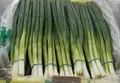 Spring Onions — Photo 2