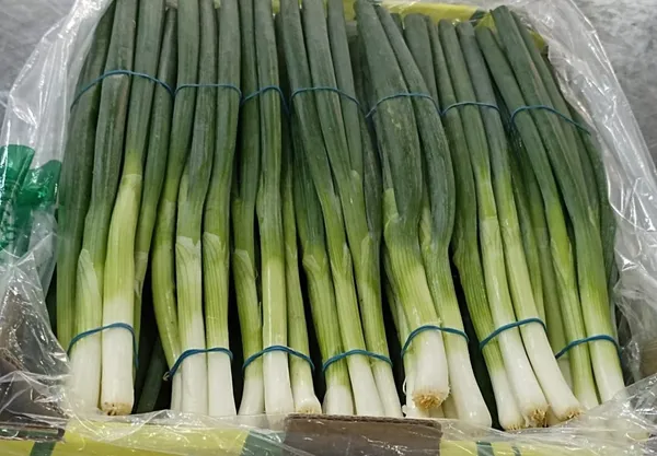 Spring Onions — Photo 2