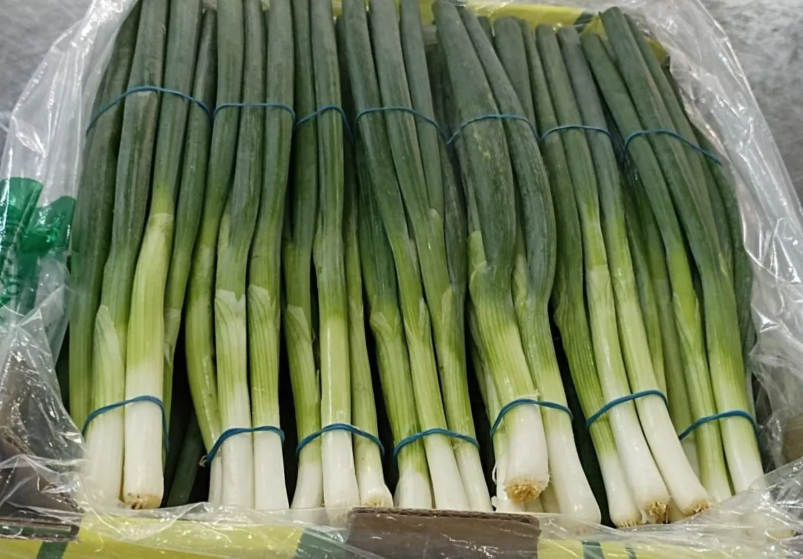 Spring Onions — Photo 2