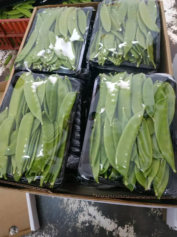 Mangetout — Photo 1