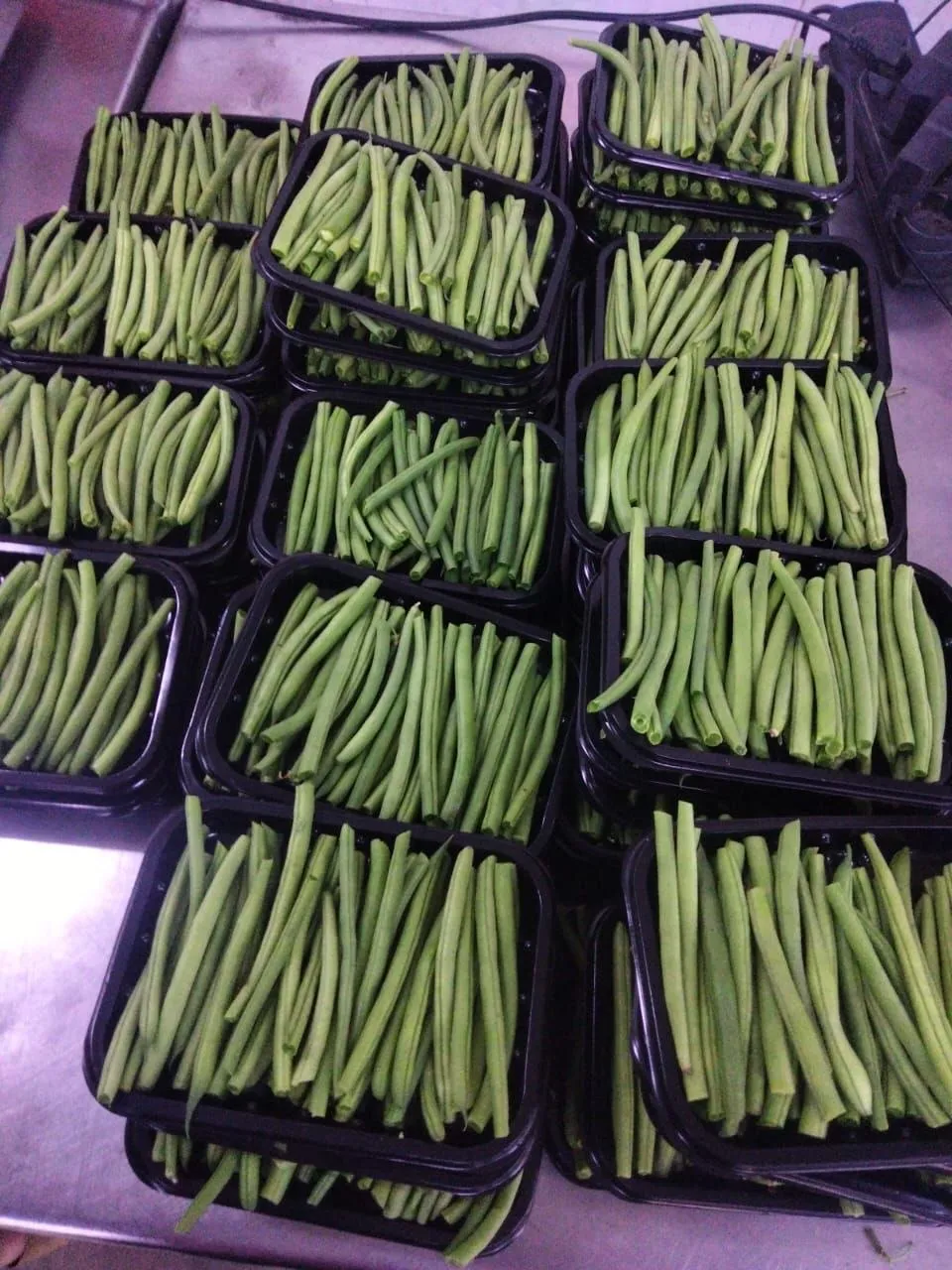 Green Beans — Photo 1
