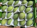 Mango — Photo 1