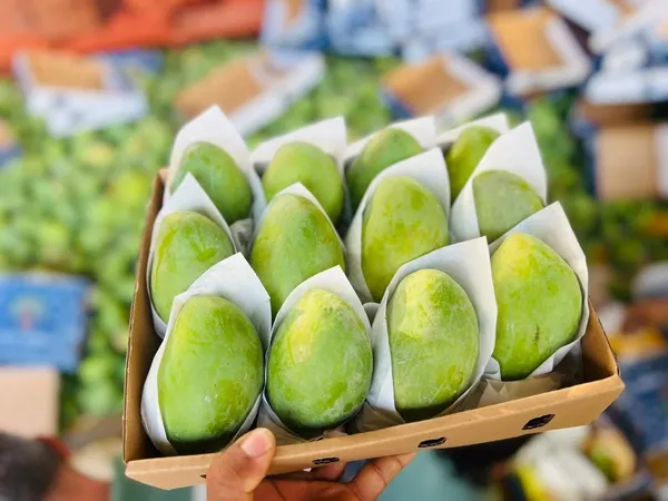 Mango — Photo 2