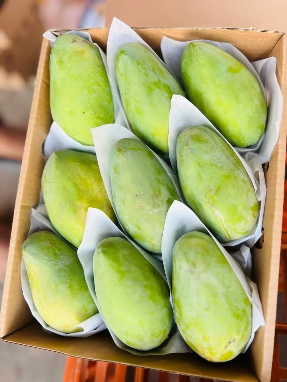 Mango — Photo 3