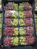Table Grapes — Photo 1