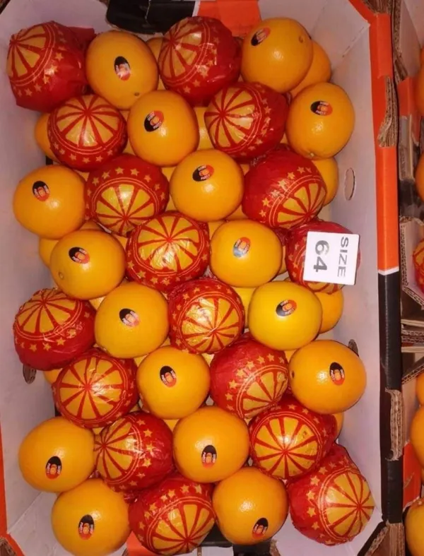 Oranges — Photo 1