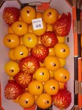 Oranges — Photo 2