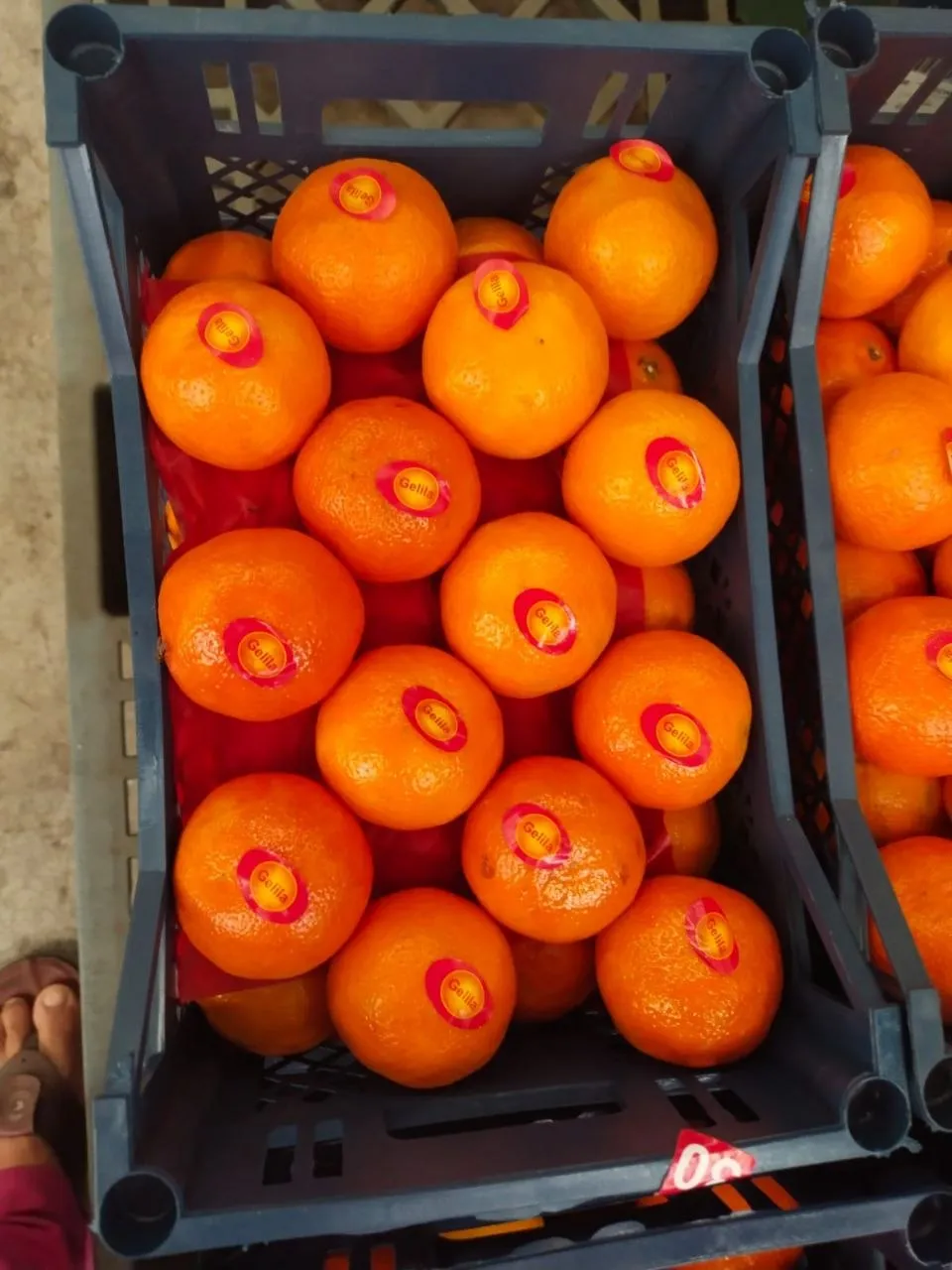 Oranges — Photo 3