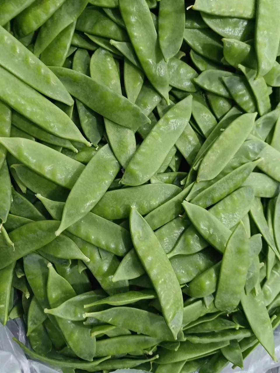 Mangetout — Photo 2