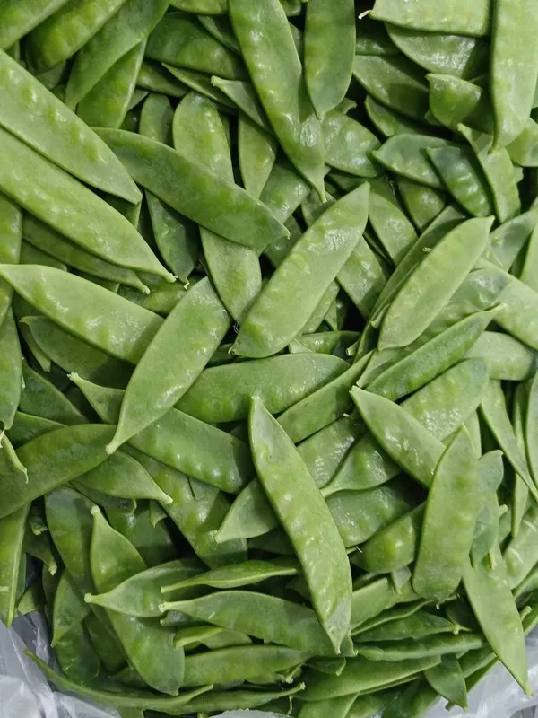 Mangetout — Photo 2