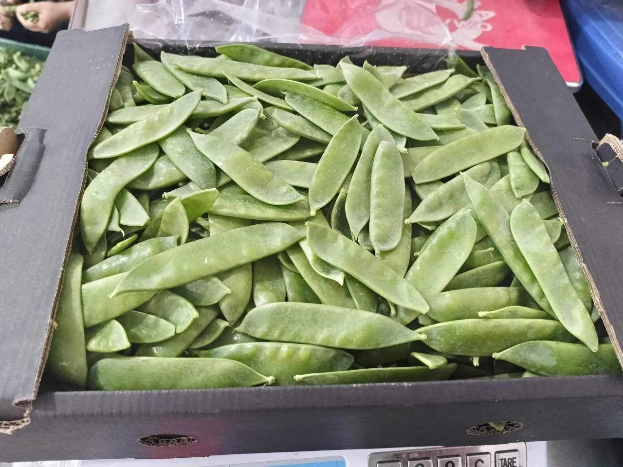 Mangetout — Photo 3