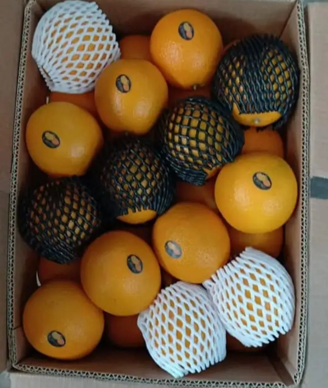 Oranges — Photo 4