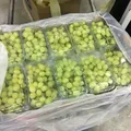 Table Grapes — Photo 3