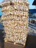 Potatoes — Photo 2