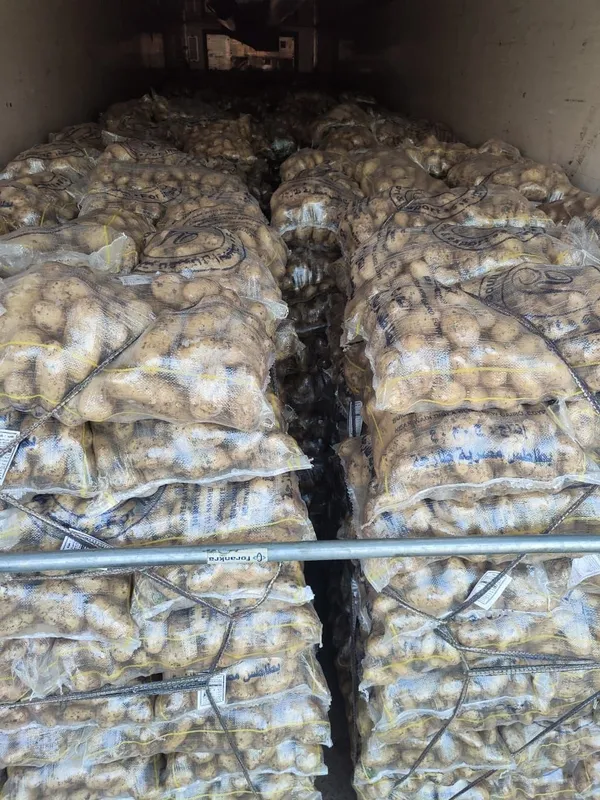 Potatoes — Photo 3