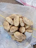 Potatoes — Photo 4