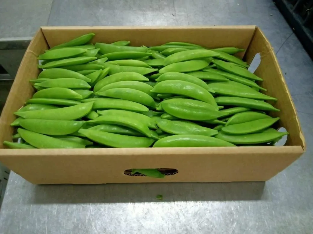 Sugar Snap Peas — Photo 1