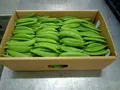 Sugar Snap Peas — Photo 1