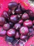 Red Onions — Photo 2