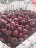 Red Onions — Photo 3
