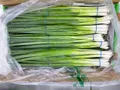 Spring Onions — Photo 4