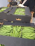 Green Beans — Photo 3