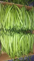 Green Beans — Photo 4