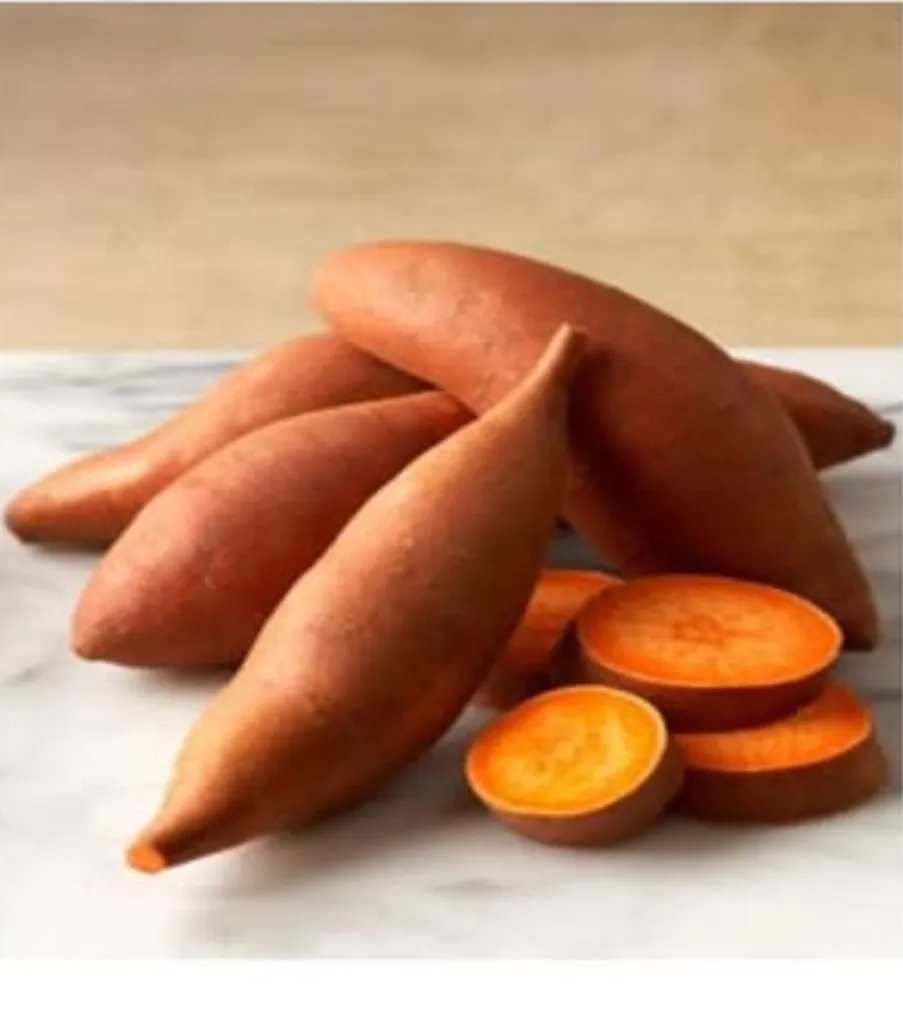 Sweet Potato — Photo 2