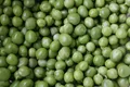 Mangetout — Photo 2