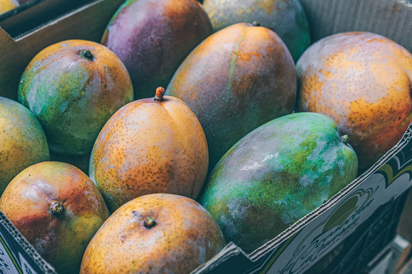 Mango — Photo 1