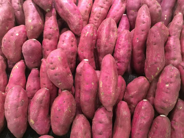 Sweet Potato — Photo 2