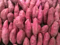 Sweet Potato — Photo 2