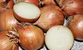 Golden Onions — Photo 2