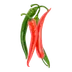 Chilli Peppers