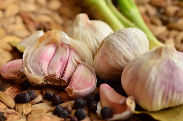 Garlic — Photo 1