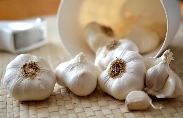 Garlic — Photo 2