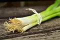 Spring Onions — Photo 3