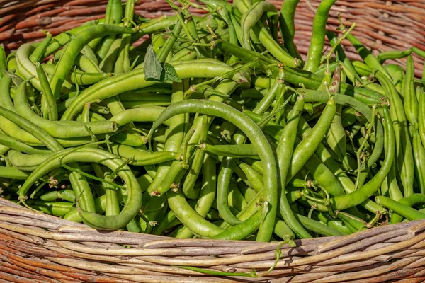 Green Beans — Photo 1