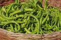 Green Beans — Photo 1