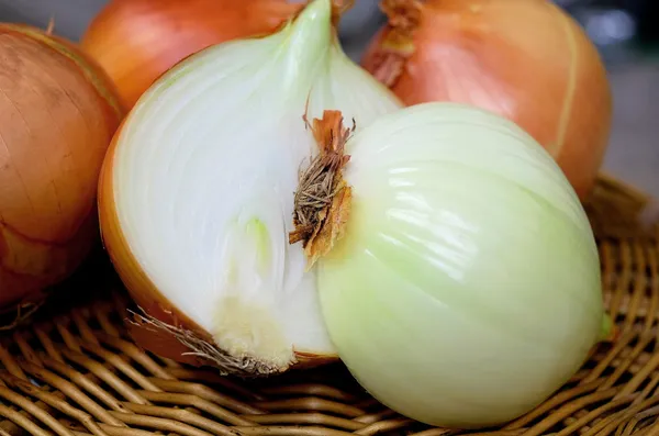 Golden Onions — Photo 3