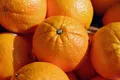 Oranges — Photo 3