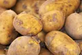 Potatoes — Photo 1