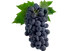 Black Seedless Grapes