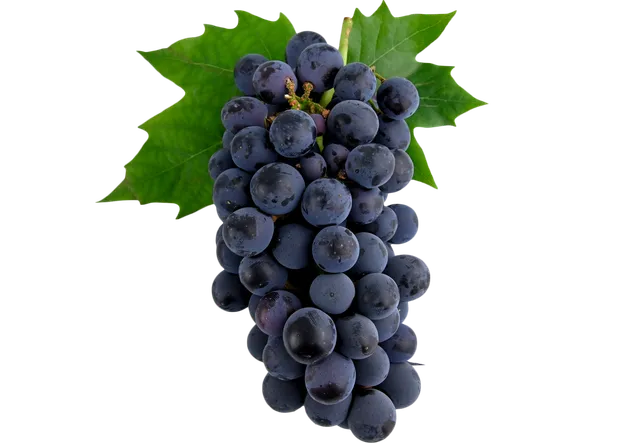 Black Seedless Grapes