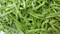 Green Beans — Photo 3