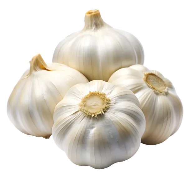 Garlic